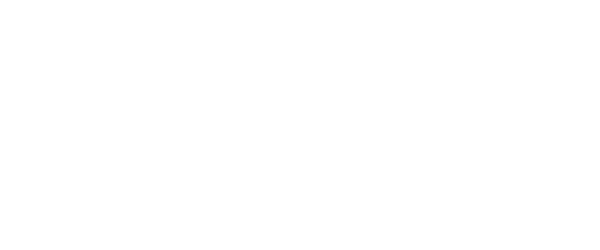 Direct Stream Vox logo